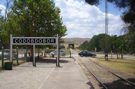 codobdobor2